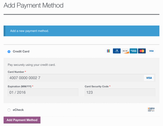 Customer Add Saved Payment